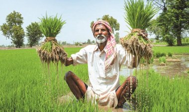 Agri GVA Growth to Remain Under 1.4% in FY27 as Weak Monsoon, El Niño Threaten Kharif Prospects: ICRA