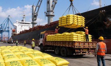 West Asia Crisis Pushes India’s DAP Import Cost 30% Higher; Fertilizer Subsidy Burden Set to Rise