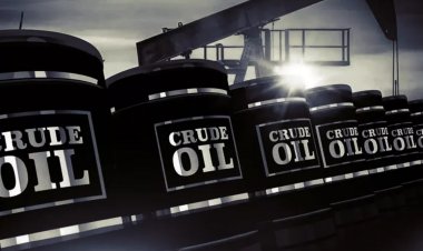 Crude Oil and LPG Supply Crunch Deepens as Hormuz Disruption Cuts Global Energy Flows: IEA