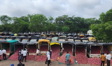 Onion and Potato Inflation in Negative Zone for a Year, Farmers Struggle to Recover Costs