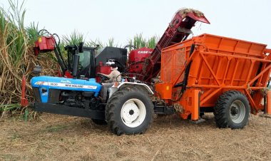 Machine Harvesting Gains Ground in Sugarcane in Maharashtra, But Not in Uttar Pradesh