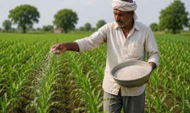 Global Fertilizer Crisis Pushes NPK Prices Up to Rs 2,450 Per Bag in India
