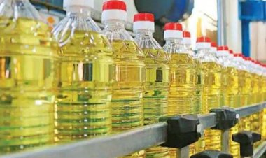 India’s Vegetable Oil Imports Jump 8% in May; Crude Imports Surge as Refined Palm Oil Drops