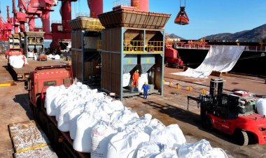 Fresh US Strikes on Iran Deepen Oil and Fertilizer Crisis, Raise Global Food Security Fears