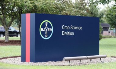 Bayer CropScience Reports 20% Rise in FY26 Profit, Revenue Growth Remains Steady