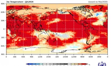 WMO Warns of More Global Temperature Records in Next Five Years