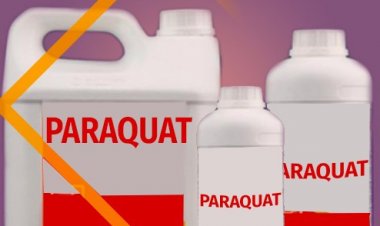 Vermont Bans Paraquat as India Reviews Herbicide Amid Health, Farmer Distress Debate