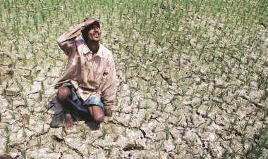 Finance Ministry Flags El Niño Risk to Kharif Crops Despite Strong Food Stocks and Reservoir Levels
