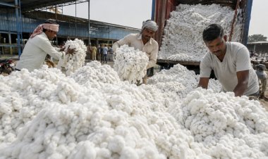 Govt Exempts Import Duty on Cotton Till Oct. 30, Relief for Textile Industry but Concerns for Farmers