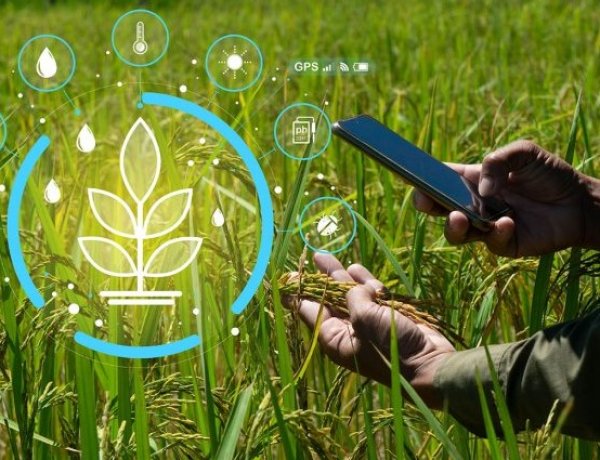 Global Public Agricultural R&D  Investment Surpass $50 Billion: FAO