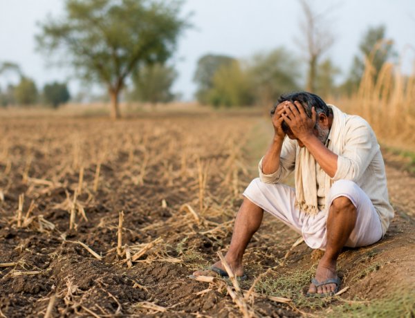 India Records One Farmer or Farm Labourer Suicide Every Hour, NCRB Data