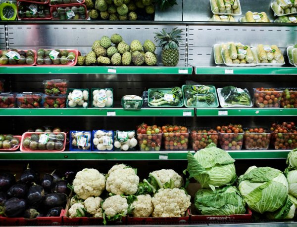 FAO Flags Food Safety Risks in Rising Use of Recycled Plastics for Food Packaging