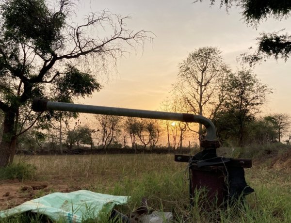 Groundwater Crisis Drains Life from Farms in Rajasthan’s Shekhawati Region