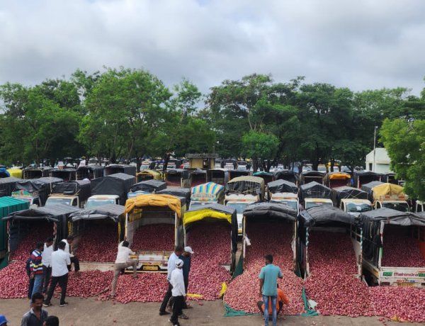 Onion and Potato Inflation in Negative Zone for a Year, Farmers Struggle to Recover Costs