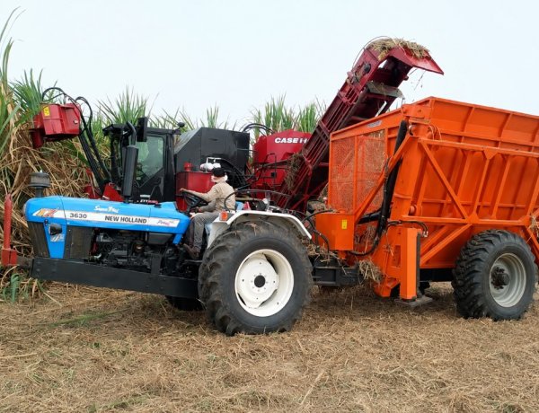 Machine Harvesting Gains Ground in Sugarcane in Maharashtra, But Not in Uttar Pradesh