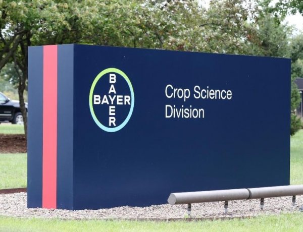 Bayer CropScience Reports 20% Rise in FY26 Profit, Revenue Growth Remains Steady