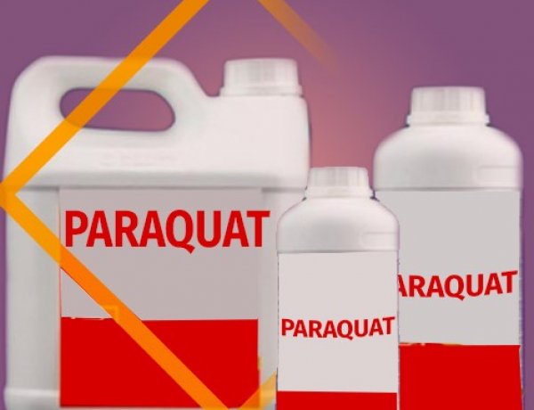 Vermont Bans Paraquat as India Reviews Herbicide Amid Health, Farmer Distress Debate