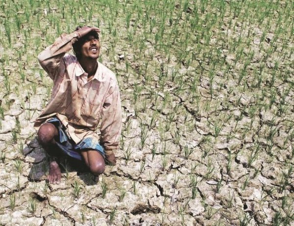 Finance Ministry Flags El Niño Risk to Kharif Crops Despite Strong Food Stocks and Reservoir Levels