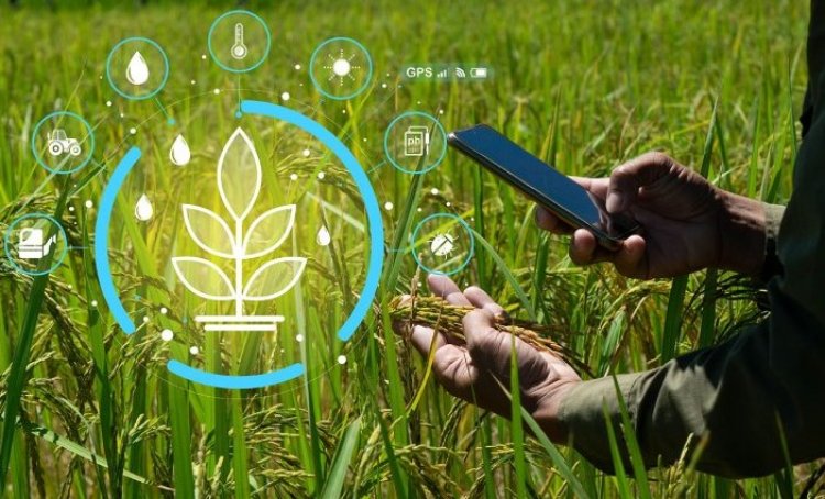 Global Public Agricultural R&D  Investment Surpass $50 Billion: FAO