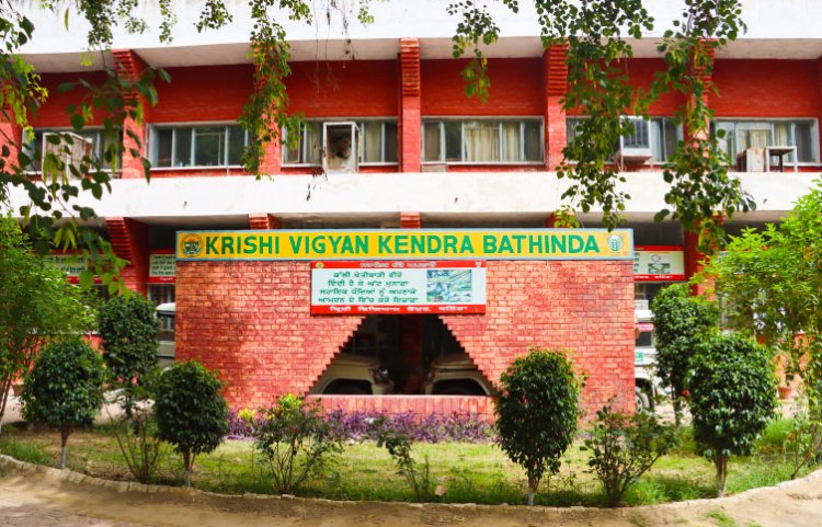KVKs: India’s Sleeping Giants of Agriculture