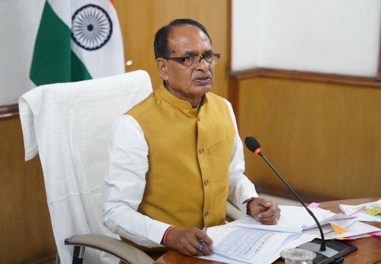 Centre Approves Sunflower Procurement in Karnataka, Raises Gram Procurement Limit in Maharashtra