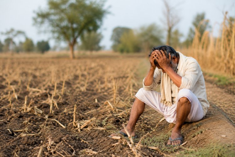 India Records One Farmer or Farm Labourer Suicide Every Hour, NCRB Data