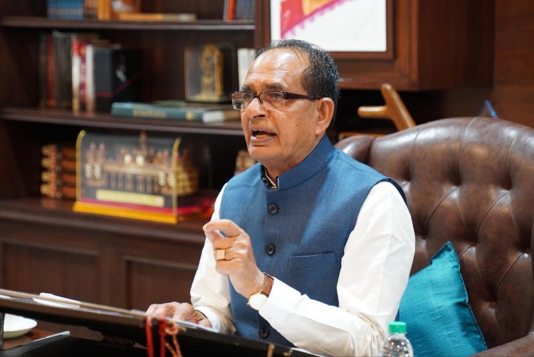 Shivraj Singh Chouhan Orders Expert Task Force to Tackle Litchi Stink Bug Crisis in Bihar