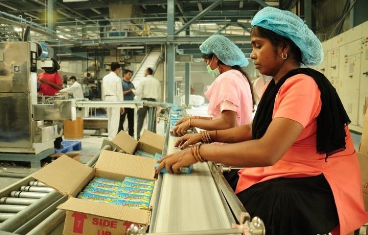 Farm to Factory: How Chhattisgarh Is Turning Its Agri Abundance into a Food Processing Opportunity
