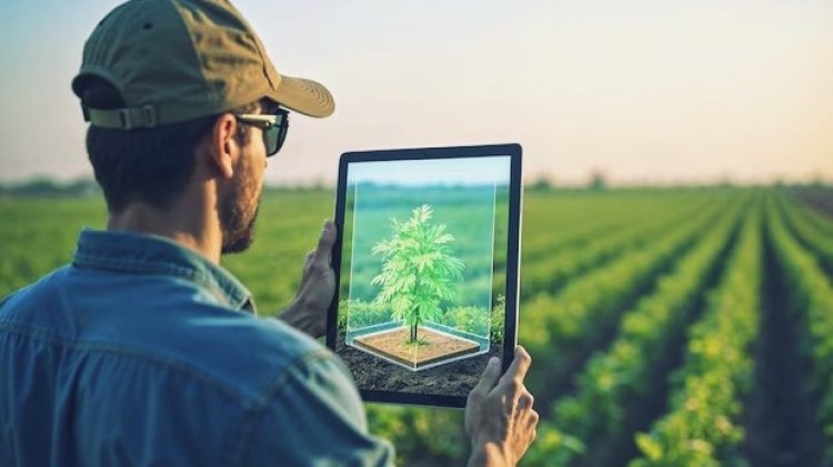 ITC Claims AI-Powered ‘Crop Doctor’ Enables Real-Time Disease Detection in 70 Crops