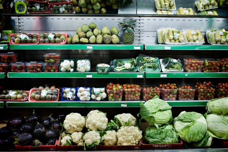 FAO Flags Food Safety Risks in Rising Use of Recycled Plastics for Food Packaging
