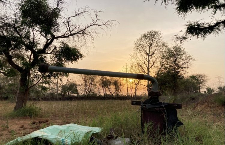 Groundwater Crisis Drains Life from Farms in Rajasthan’s Shekhawati Region