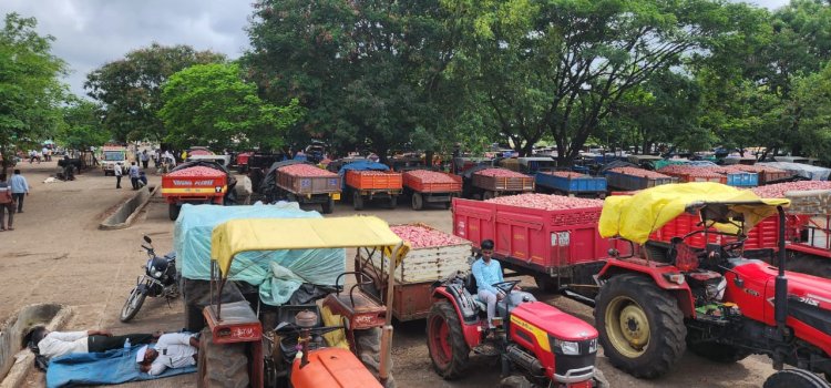Farmers Unwilling to Sell Onions to NAFED and NCCF as Open Market Prices Remain Higher