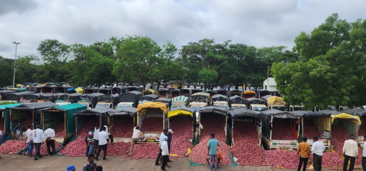 Onion and Potato Inflation in Negative Zone for a Year, Farmers Struggle to Recover Costs