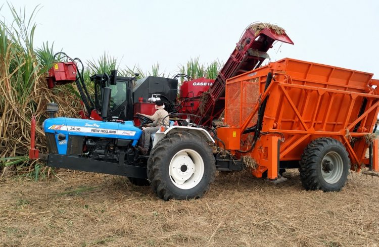 Machine Harvesting Gains Ground in Sugarcane in Maharashtra, But Not in Uttar Pradesh