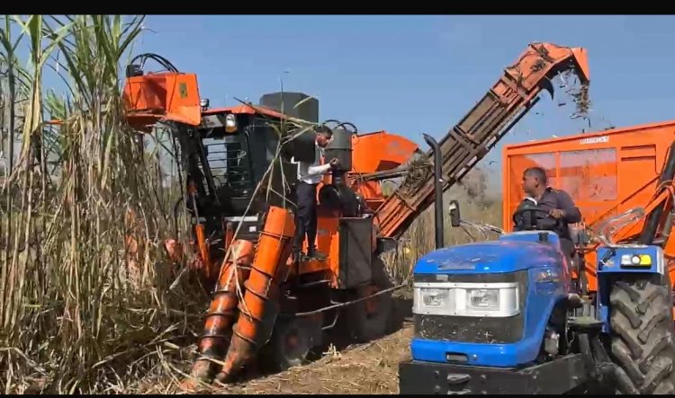 Machine Harvesting Gains Ground in Sugarcane in Maharashtra, But Not in Uttar Pradesh