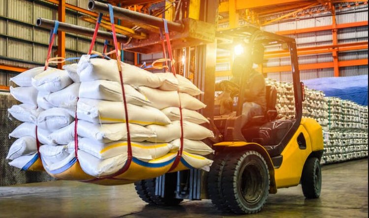India's Fertilizer Crossroads: From Crisis to Competitive Advantage