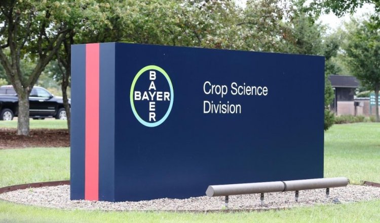 Bayer CropScience Reports 20% Rise in FY26 Profit, Revenue Growth Remains Steady