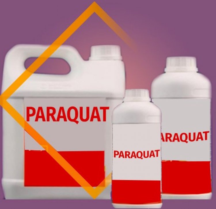 Vermont Bans Paraquat as India Reviews Herbicide Amid Health, Farmer Distress Debate