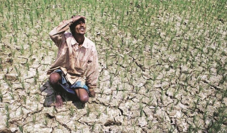 Finance Ministry Flags El Niño Risk to Kharif Crops Despite Strong Food Stocks and Reservoir Levels