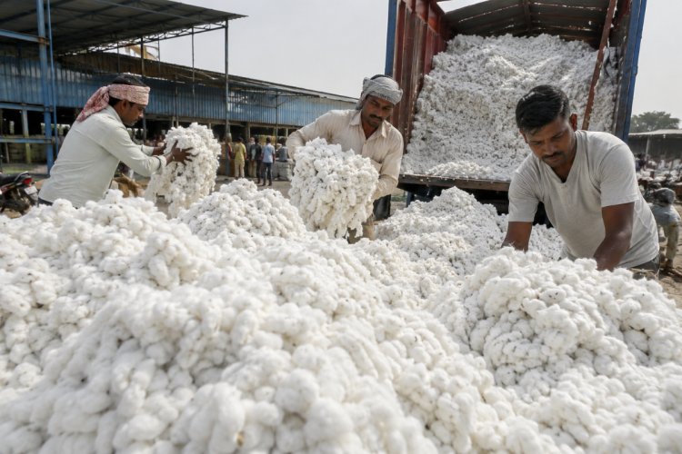 Govt Exempts Import Duty on Cotton Till Oct. 31, Relief for Textile Industry but Concerns for Farmers