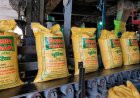 Global Fertilizer Prices Fall Sharply, Bringing Relief to India; Urea Drops $250/Tonne, DAP Below $900