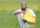 India Buys 15 Lakh Tonnes of Urea and 7.1 Lakh Tonnes of DAP from 17 Countries During April-June