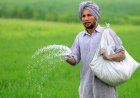 Centre Counters Punjab Urea Shortage Claims, Says Stocks Sufficient Despite Farmers’ Statewide Protests