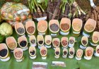 BIS launches national standard for community seed banks to preserve indigenous seeds and strengthen climate resilience