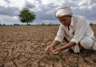 Monsoon Loses Momentum Amid El Niño Concerns; Maharashtra Records 75% Rainfall Deficit, Farmers Advised Against Early Sowing
