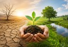 Restoring India's Lands for a Sustainable Future: Science, Convergence and Collective Action