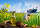 Regenerative Mustard Farming Model Boosts Yields by Up to 30%, Offers Path to Cut India's Edible Oil Imports