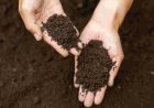 Turning Waste into Value: How FOM and LFOM Can Support Farmers During Crises