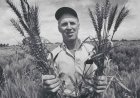 TAAS Invites Nominations for Borlaug Innovative Farmer and S.K. Vasal Crop Hybrid Research Awards