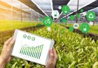 The Future of Agriculture: Human Expertise Enhanced by Artificial Intelligence